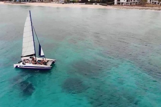 Barbados Catamaran Snorkel Cruise with Lunch and Open Bar - Carlisle Bay for turtles, fish, and wrecks