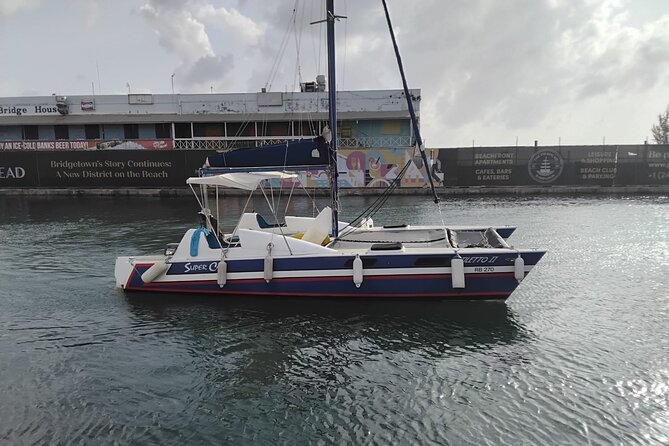 Barbados Catamaran Snorkel Cruise with Lunch and Open Bar - Booking, weather, and practical value