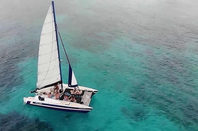 Barbados Catamaran Snorkel Cruise with Open Bar - Carlisle Bay, turtles, and possible shipwrecks