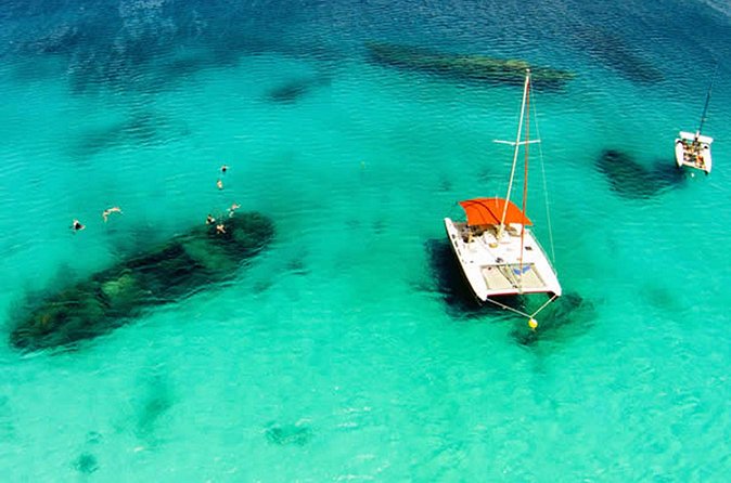 Barbados Catamaran Turtle Snorkel with Lunch and Open Bar - How much time do you really get?
