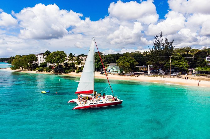 Barbados Catamaran Turtle Snorkel with Lunch and Open Bar - Small group, but not a private charter