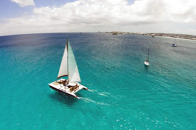 Barbados Catamaran Turtle Snorkel with Lunch and Open Bar - The party atmosphere is part of the bargain