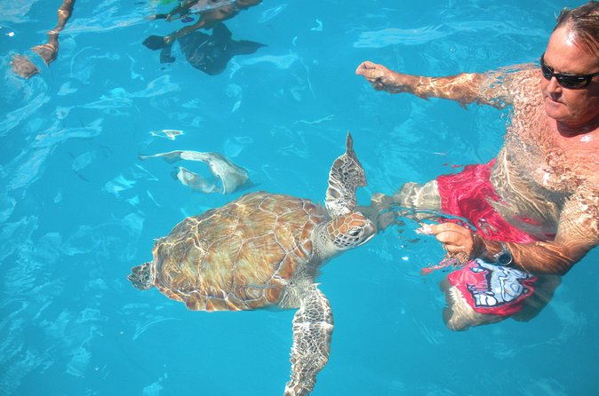 Barbados Catamaran Turtle Snorkel with Lunch and Open Bar - Price and value at $110