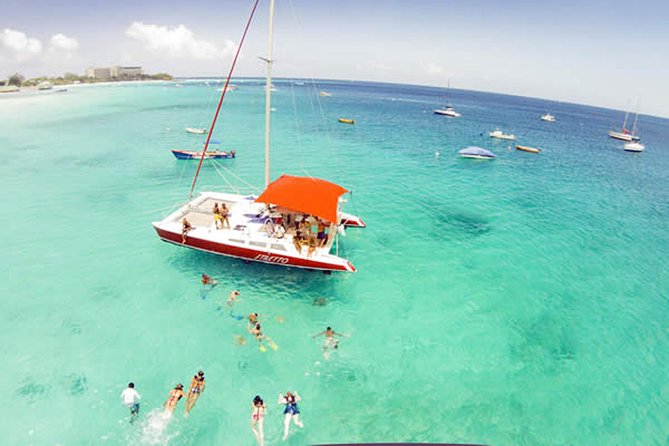 Barbados Catamaran Turtle Snorkel with Lunch and Open Bar - Carlisle Bay brings turtles, fish, and shipwrecks