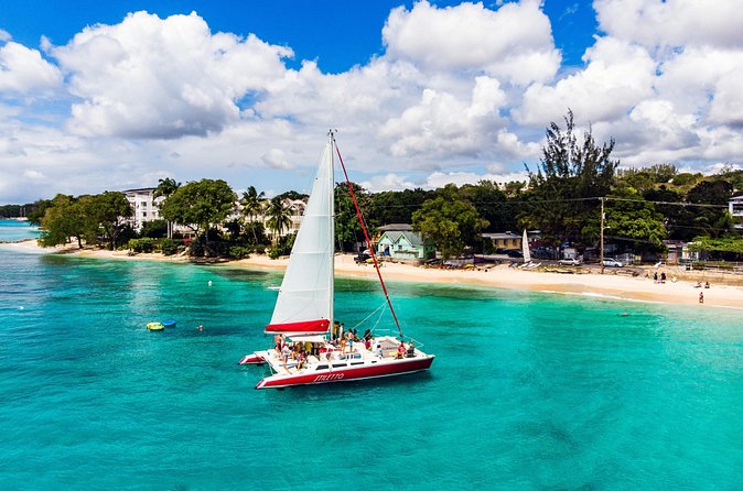 Barbados Catamaran Turtle Snorkel with Open Bar - Carlisle Bay and the turtle stop