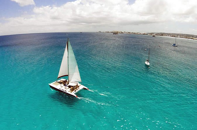 Barbados Catamaran Turtle Snorkel with Open Bar - What the experience feels like for families and first-time snorkelers