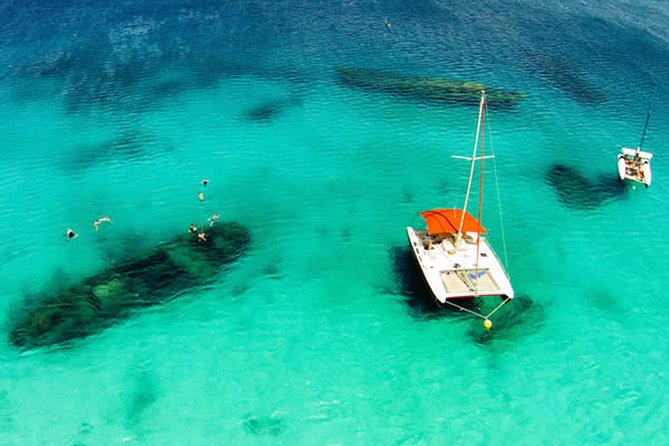 Barbados Catamaran Turtle Snorkel with Open Bar - When the $85 price makes sense