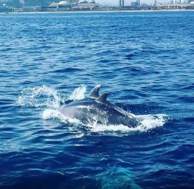 Barcelona: Sailing Tour with Drinks and Snacks - Key points at a glance