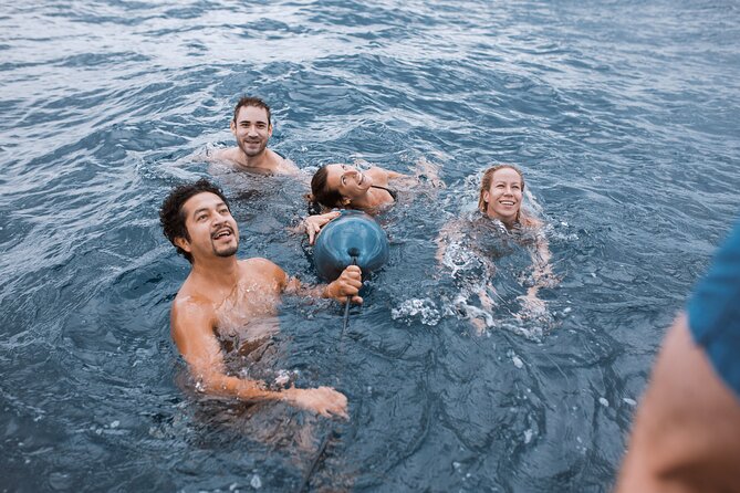 Barcelona Sunset Cruise with Open Bar of Cava and Snacks - Captains can make or break the mood