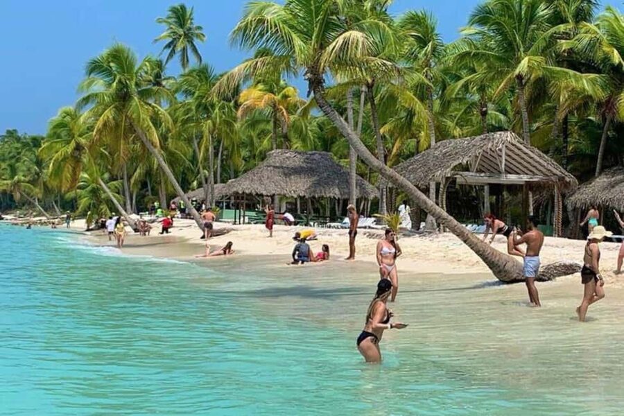 Bavaro: Saona Island Speedboat Tour with Open Bar - Saona Island is the reason to make the trip
