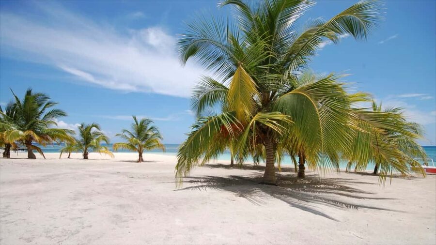Bayahibe: Saona Island Sailing in catamaran with open bar - Saona Island: beach time without a packed schedule