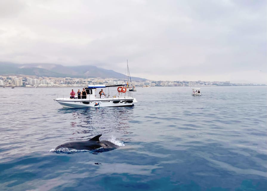Benalmadena: Private Boat Trip – Dolphins, Drinks & Snacks - Choosing Between One and Six Hours