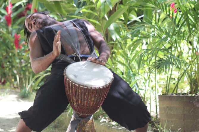 Blue Hole and Dunn’s River Falls Tour with Lunch and Cocktails at Reggae Hill - The guides can make or break the day