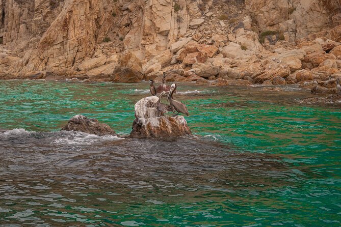 Boat Tour Snorkeling Tour with Guide, Drinks and Fruit - Fruit, soft drinks, water, and three beers