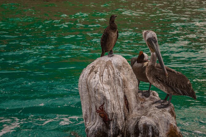 Boat Tour Snorkeling Tour with Guide, Drinks and Fruit - Weather, comfort, and who should book