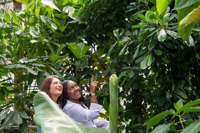 Bombay Sapphire Gin Distillery Tour and Cocktail - The Botanical Room and finding your flavour preferences