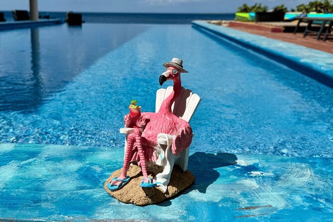 Bonaire Oceanfront Villa Day Pass All-Inclusive Cruise Friendly - A Quiet Bonaire Day Instead of a Busy Excursion