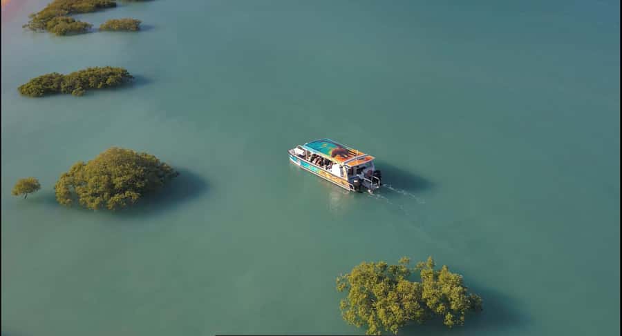 BROOME: DINOSAUR ADVENTURE CRUISE - With Tapas and Cocktail - Cruising the winding Dampier Creek tributaries