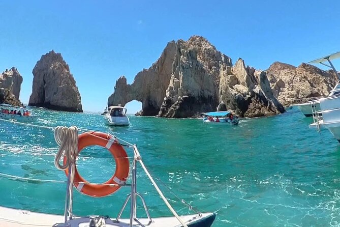 Cabo Blue Snorkeling Cruise, Open Bar and Lunch in Cabo San Lucas - Whale watching can transform the afternoon