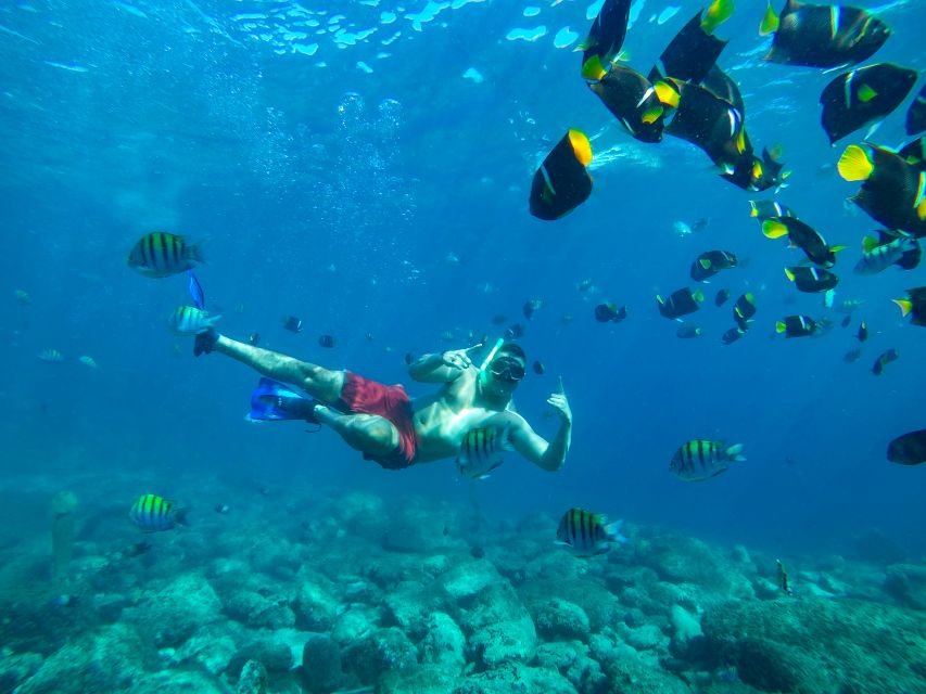 Cabo Catamaran Snorkel: Arch & Santa Maria, Open Bar, Snacks - Who will enjoy this Cabo cruise most?