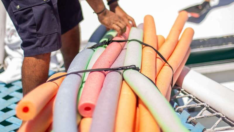 Cabo San Lucas: 4-Hour Snorkeling Cruise with Open Bar - How the four hours are divided