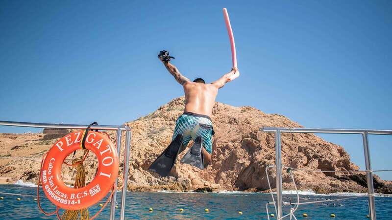 Cabo San Lucas: 4-Hour Snorkeling Cruise with Open Bar - Hotel pickup saves time, but confirm it early