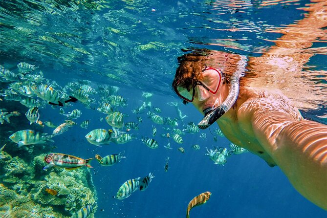 Cabo San Lucas Boat Tour with Snorkeling, Open Bar, and Lunch - The crew shapes the experience