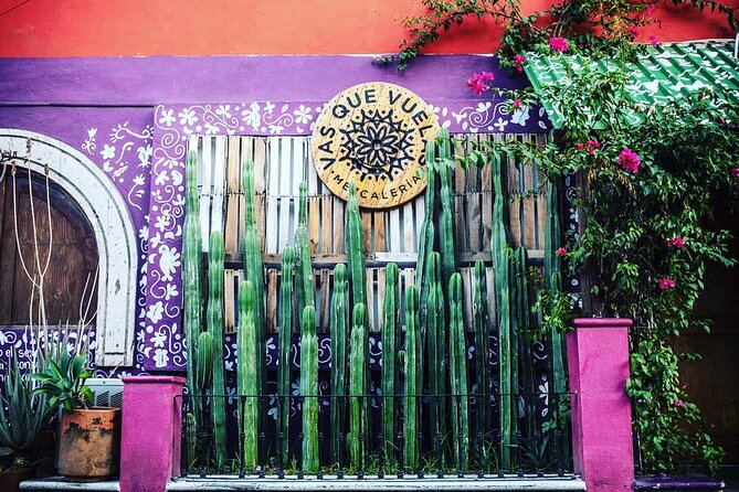 Cabo San Lucas Mezcal Tasting and Cocktail Class - The cocktail class and what to expect