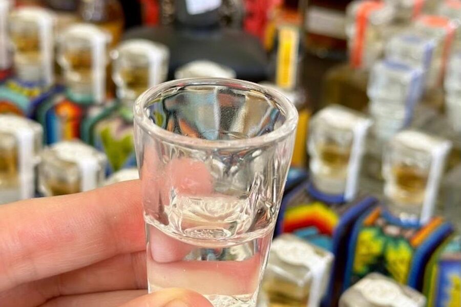 Cabo San Lucas Tequila Tasting and Mixology Class in Tasting Room - Timing, group size, and the Cabo day plan