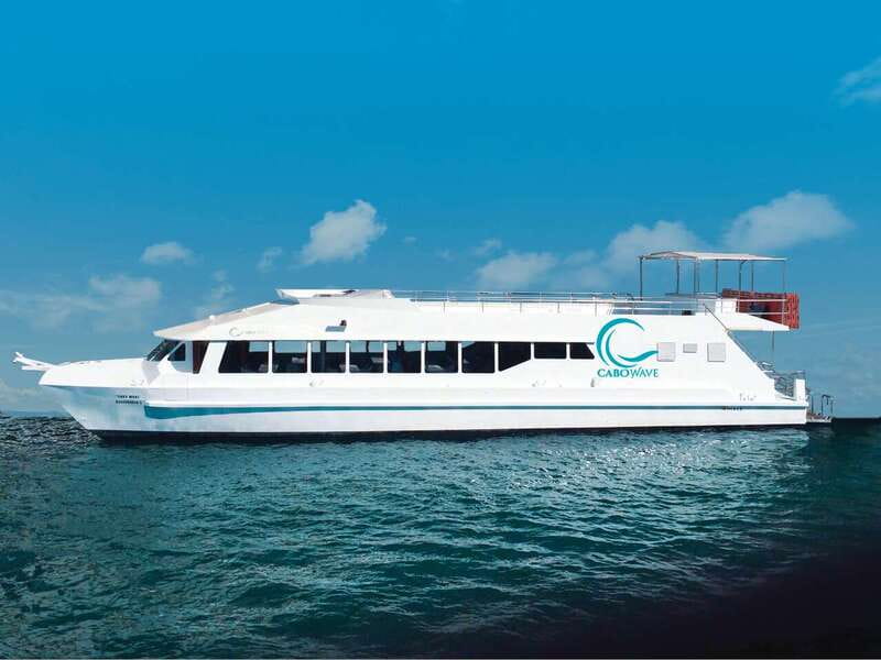 Cabo: Sunset Cruise with Dinner, Music & Open Bar - Dinner with tamales, fajitas, and salad