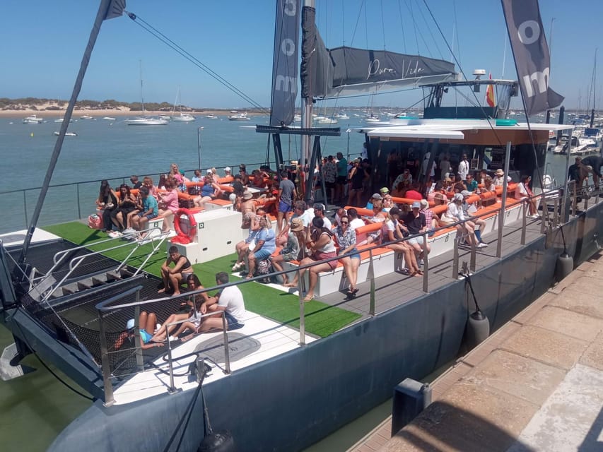 Cádiz: Sunset Catamaran Cruise Tours - Should you book the Cádiz sunset catamaran?
