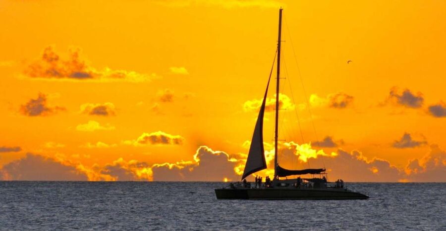 Cambrils: Costa Dorada Sunset Catamaran Cruise with Drinks - The anchored swim at a quiet inlet