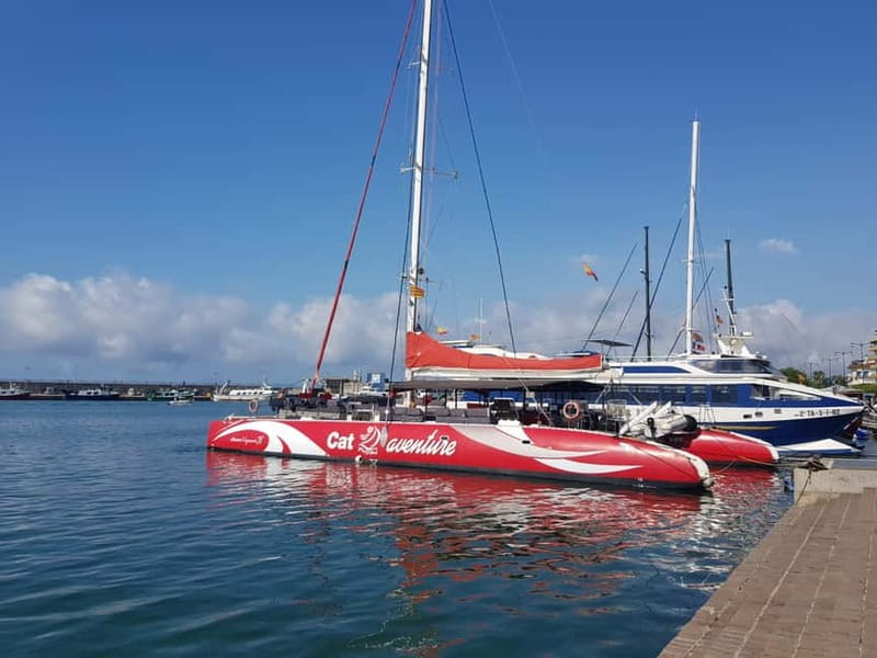 Cambrils/Salou: Coastline Catamaran 2h with drinks, pickup - Setting out from Cambrils at 10:00