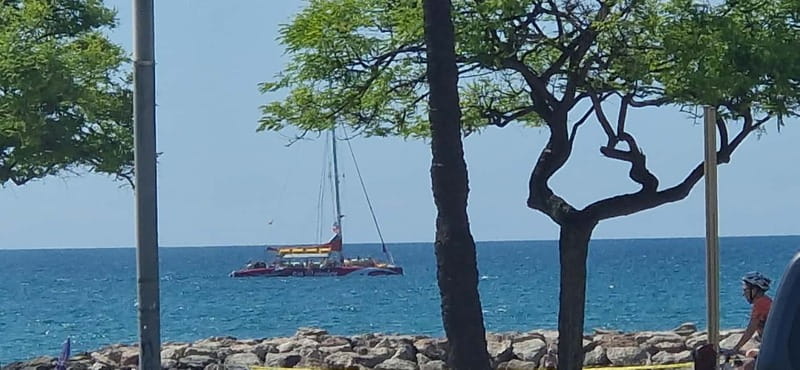Cambrils/Salou: Coastline Catamaran 2h with drinks, pickup - What the guide adds