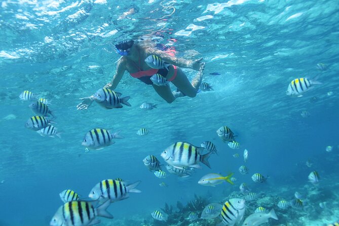 Cancun 4 hour Private Yacht Experience with Lunch and Open Bar Onboard - Snorkeling at El Meco reef