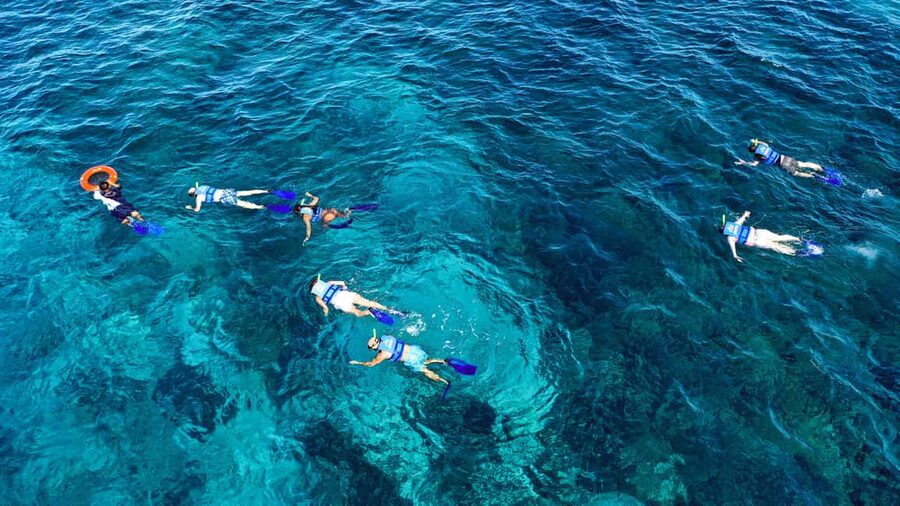 Cancun: Isla Mujeres Catamaran Ride, Open Bar & Buffet Lunch - Reef snorkeling before Isla Mujeres
