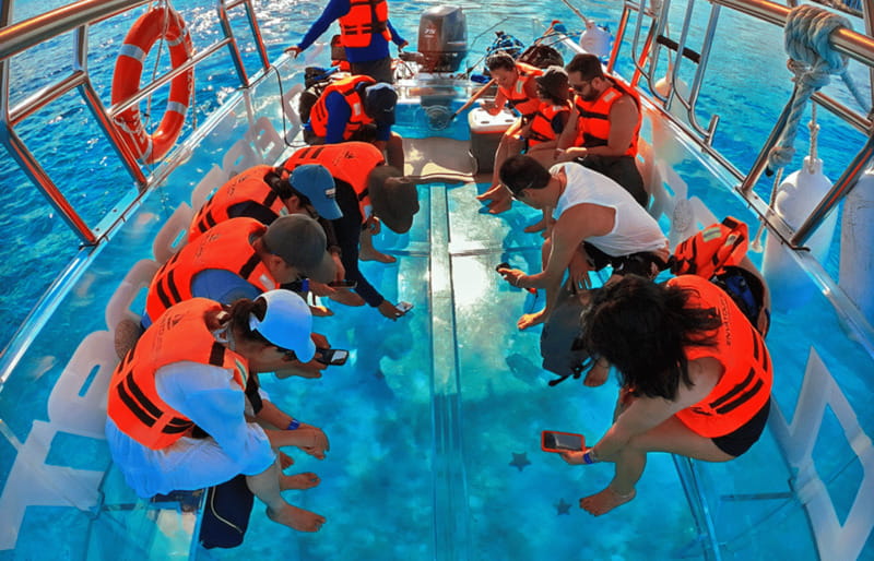 Cancún: Nichupté Lagoon Transparent Boat Tour with Drinks - Is $40 Good Value for 90 Minutes?