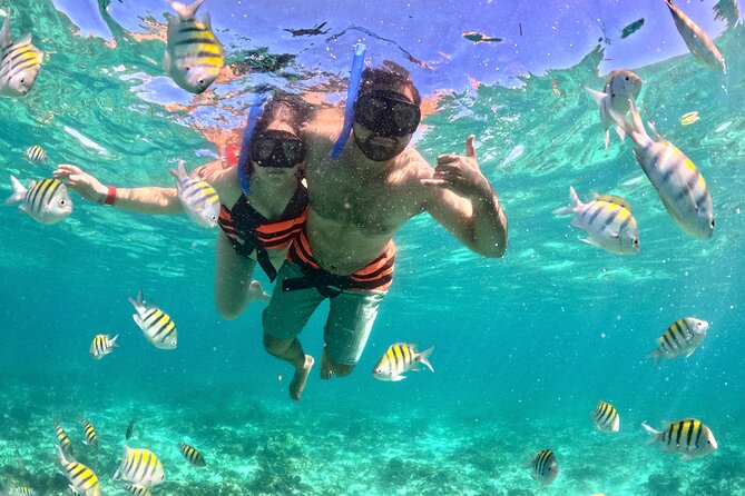 Cancun Private Catamaran Cruise– Open Bar & Snorkeling Experience - Who Will Enjoy This Cruise Most?
