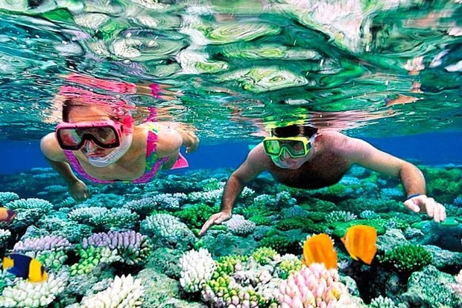 Catamaran adventure to Isla Mujeres with Snorkel,Buffet,Open Bar and Beach Club - The spinnaker ride and the return sail