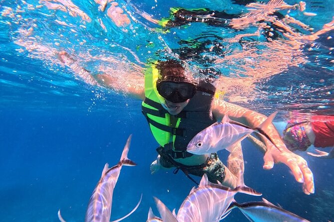 Catamaran in Cozumel with snorkeling at El Cielo and open Bar - Finding Anchor of CozumelMuelle at 1:00 PM