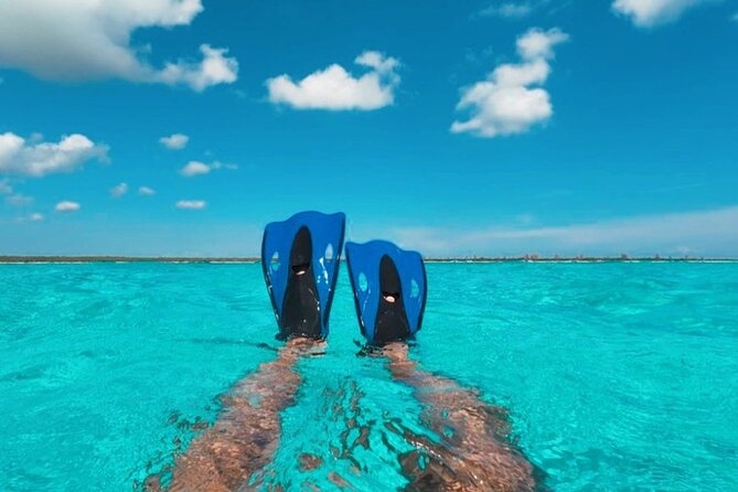 Catamaran in Cozumel with snorkeling at El Cielo and open Bar - El Cielito and its shallow water