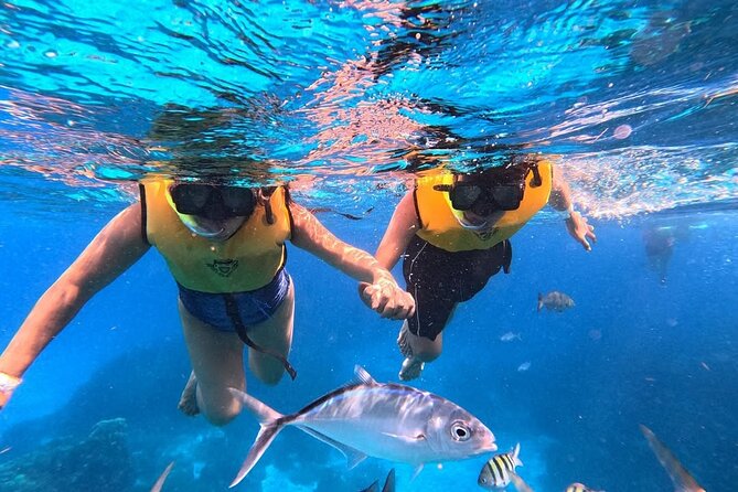 Catamaran in Cozumel with snorkeling at El Cielo and open Bar - The cancellation and reliability question