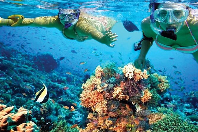 Catamaran Sailing to Isla Mujeres with Snorkeling, Lunch & Open Bar included - Booking and cancellation details