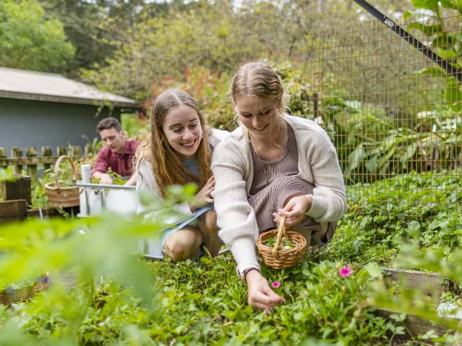 Central Coast Foraging & Mixology Workshop - Should You Book the Foraging and Mixology Workshop?