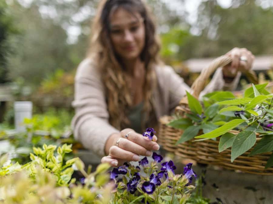 Central Coast Foraging & Mixology Workshop - Wine Tasting Before the Mixing Begins