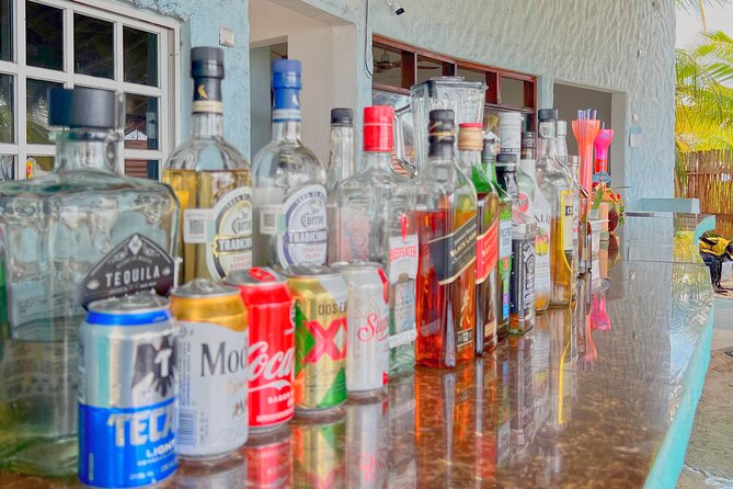 Chankanab Park Admission +Open bar +Lunch included +Snorkeling - Beach comfort, gardens, and shows make this useful for mixed groups