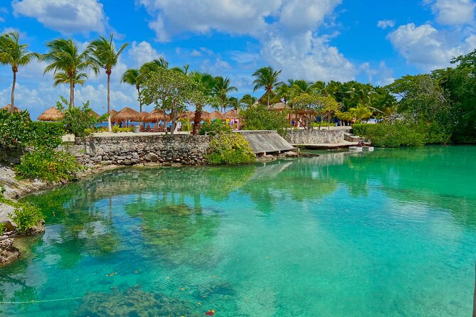 Chankanab Park Admission +Open bar +Lunch included +Snorkeling - Snorkeling over coral and underwater statues