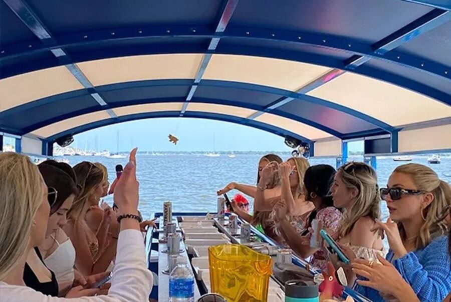 Charleston: Harbor Bar Pedal Boat Party Cruise - What the $66 price gets you