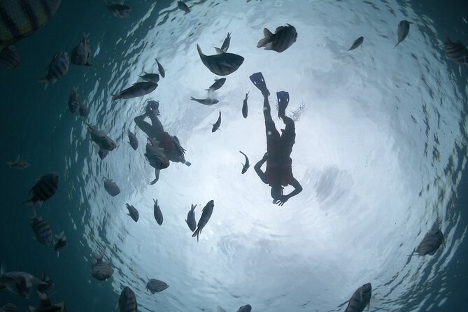 Clear Boat & Snorkel Cozumel Tour with Drinks - What happens during the 90-minute outing
