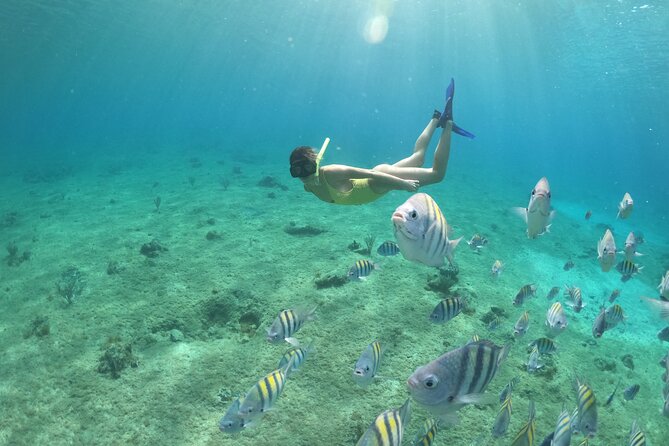 Clear Boat & Snorkel Cozumel Tour with Drinks - Weather, water conditions, and cancellation risk